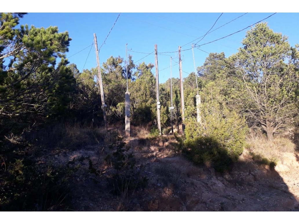Terreno campestre en VENTA sobre la carretera a Los Lirios RTV480524 - 5