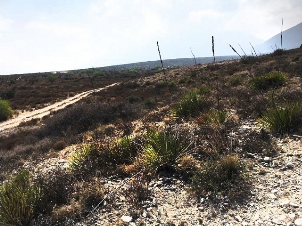 Terreno campestre residencial en Arteaga Coahuila RTV382672 - 5