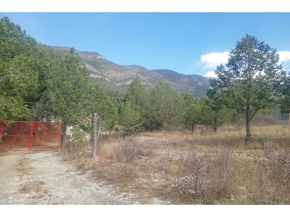 Terreno Campestre en VENTA en Ejido San Juanito RTV663162 — foto 5