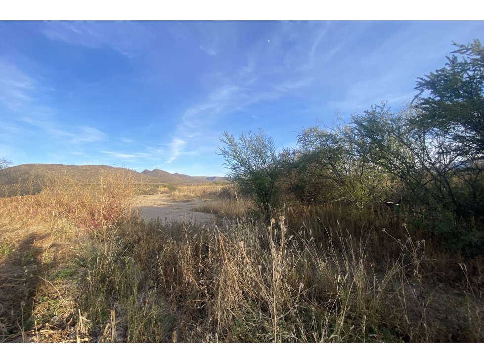 Terreno en VENTA en General Cepeda RTV666736 - 5