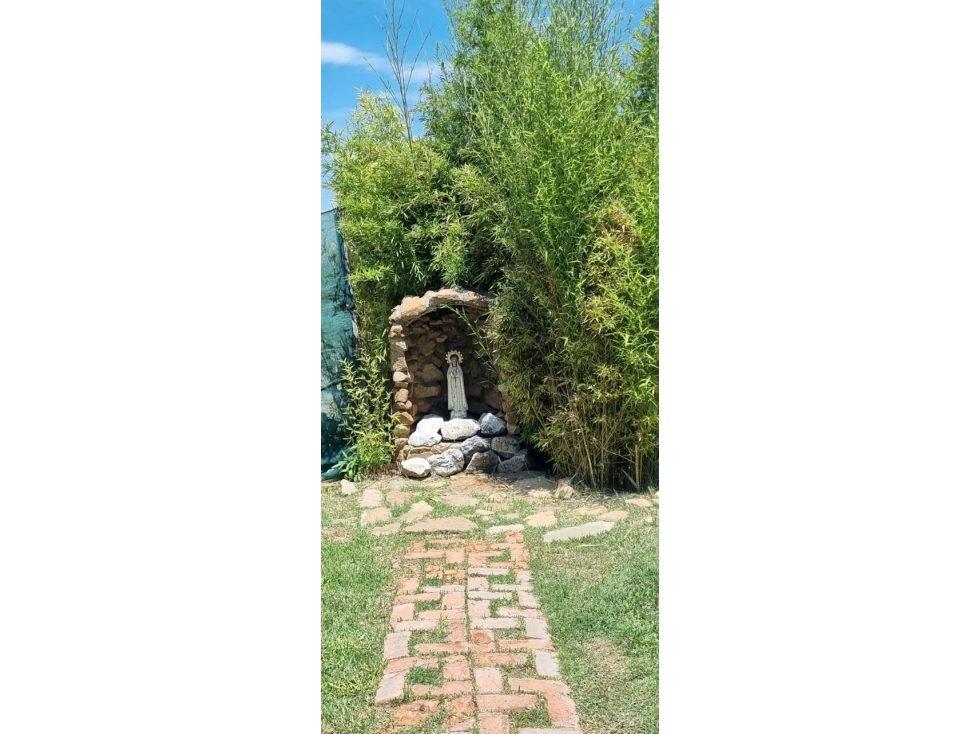 Terreno en venta con palapa en La Aurora CTV670970 — foto 5