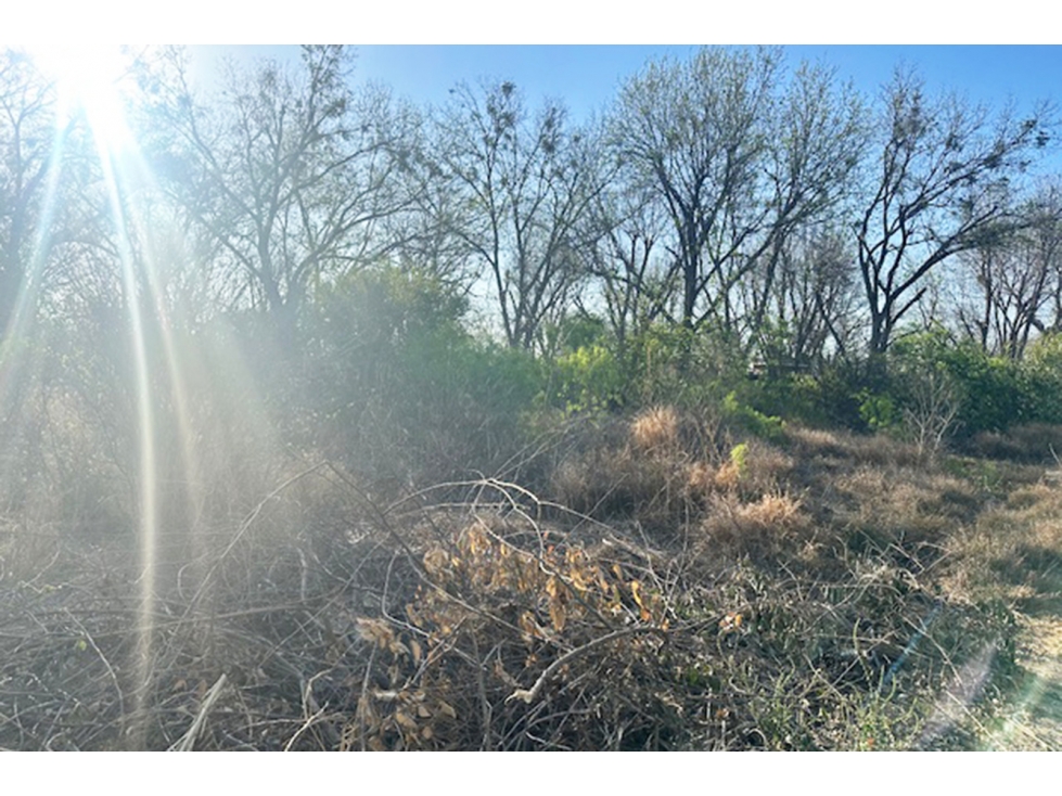 Terreno en VENTA en Carretera Antigua los Zertuche RTV673927 — foto 5