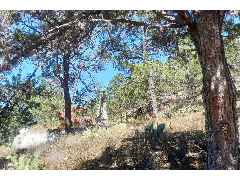 Terreno Campestre en Venta en Ejido el Tunal RTV674871 — foto 5