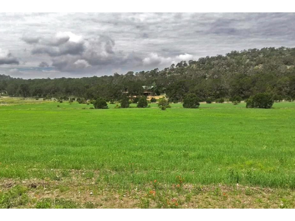 Terreno en VENTA en Sierra de Arteaga RTV677788 — foto 5