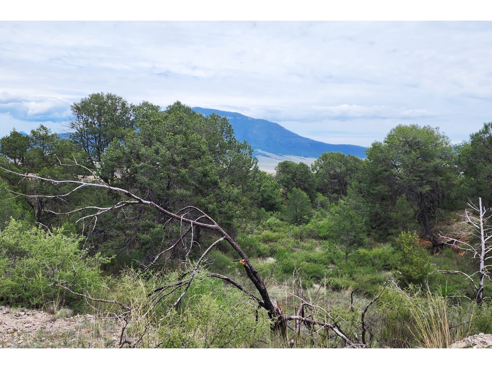 Lotes Campestres en VENTA en Fracc. La Montaña RTV681419 — foto 5