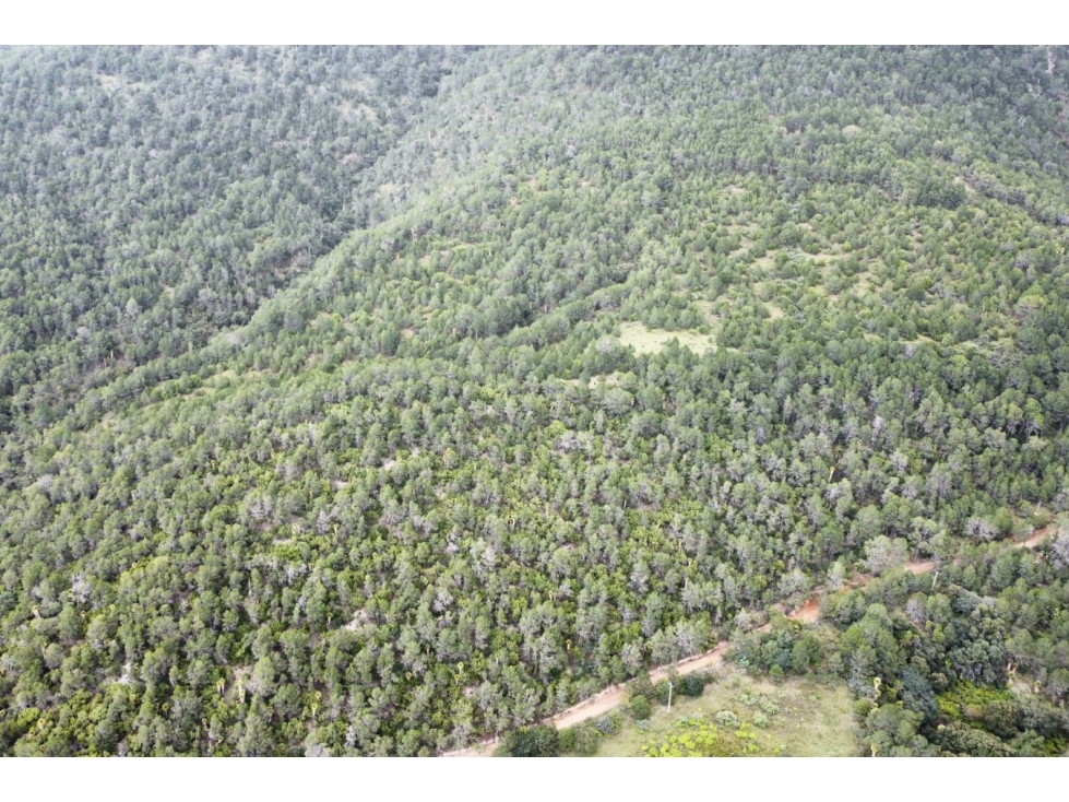 Terreno de 64.67 hectáreas en San Antonio de las Alazanas RTV692241 - 5