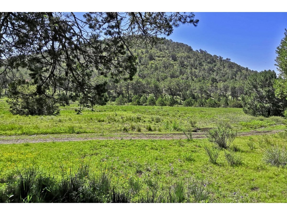 Terreno campestre en VENTA en Sierra Escondida RTV508222 - 6