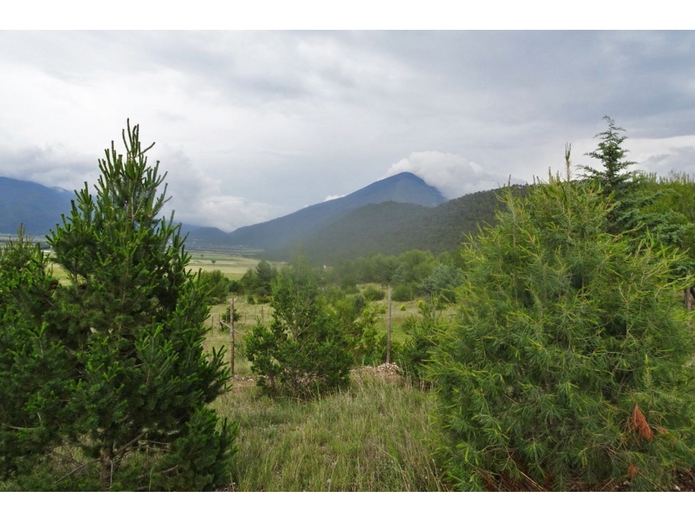 Terreno campestre en VENTA en Fracc. Los Andes-RTV535845 - 6
