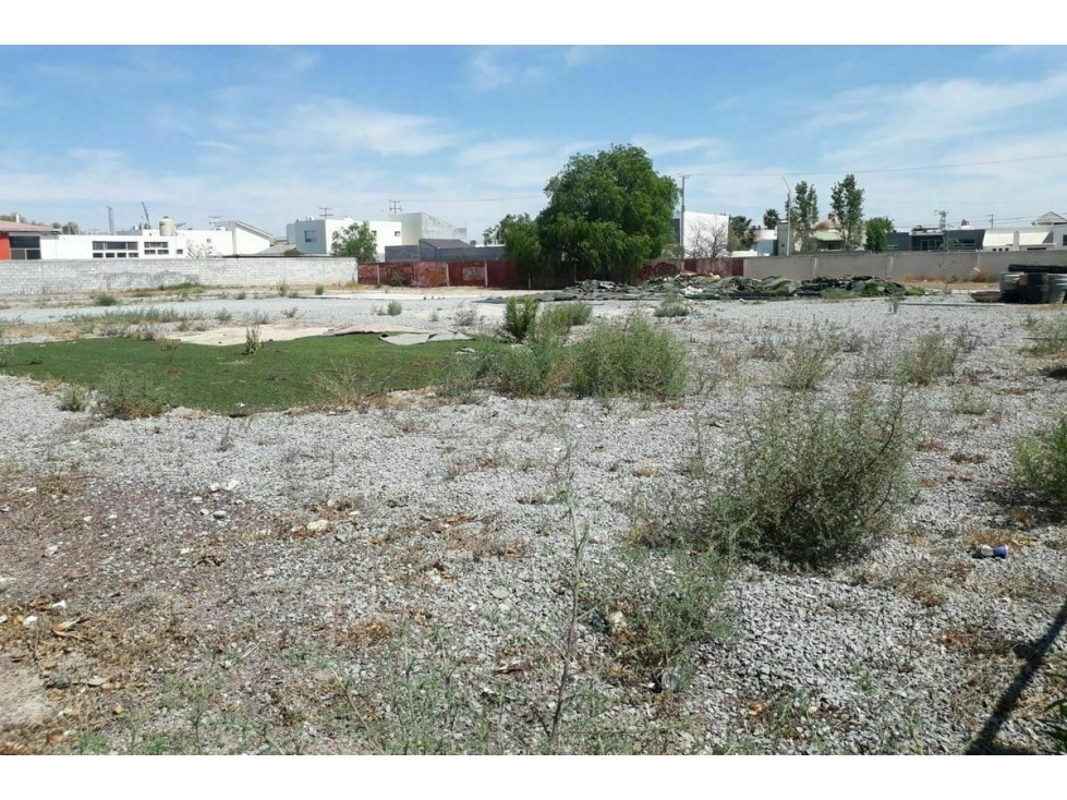 Terreno en RENTA en San José.-CTR496809 — foto 6
