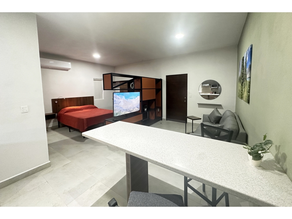Loft nuevo en RENTA en Hacienda de Peña RDR602930 — foto 5