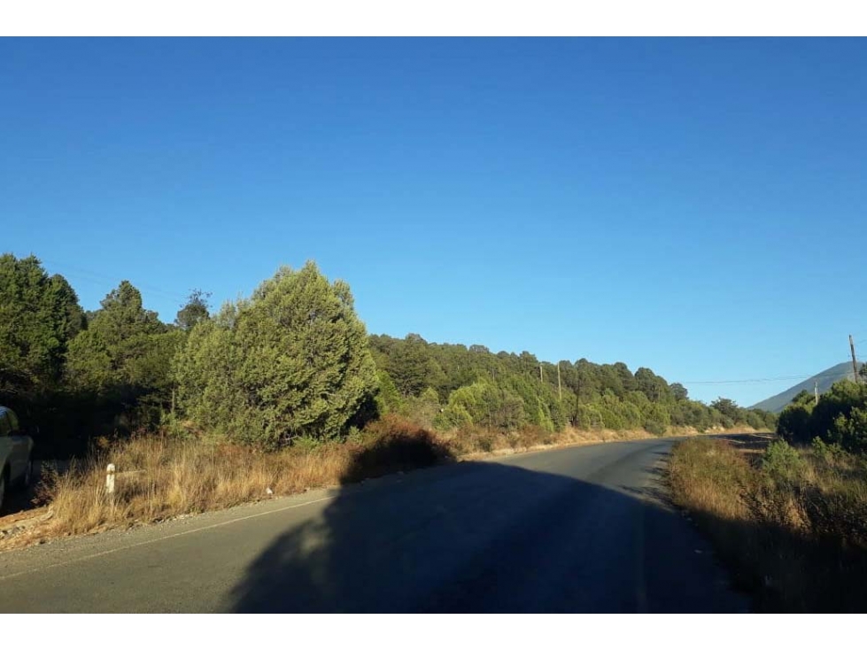 Terreno campestre en VENTA sobre la carretera a Los Lirios RTV480524 - 6