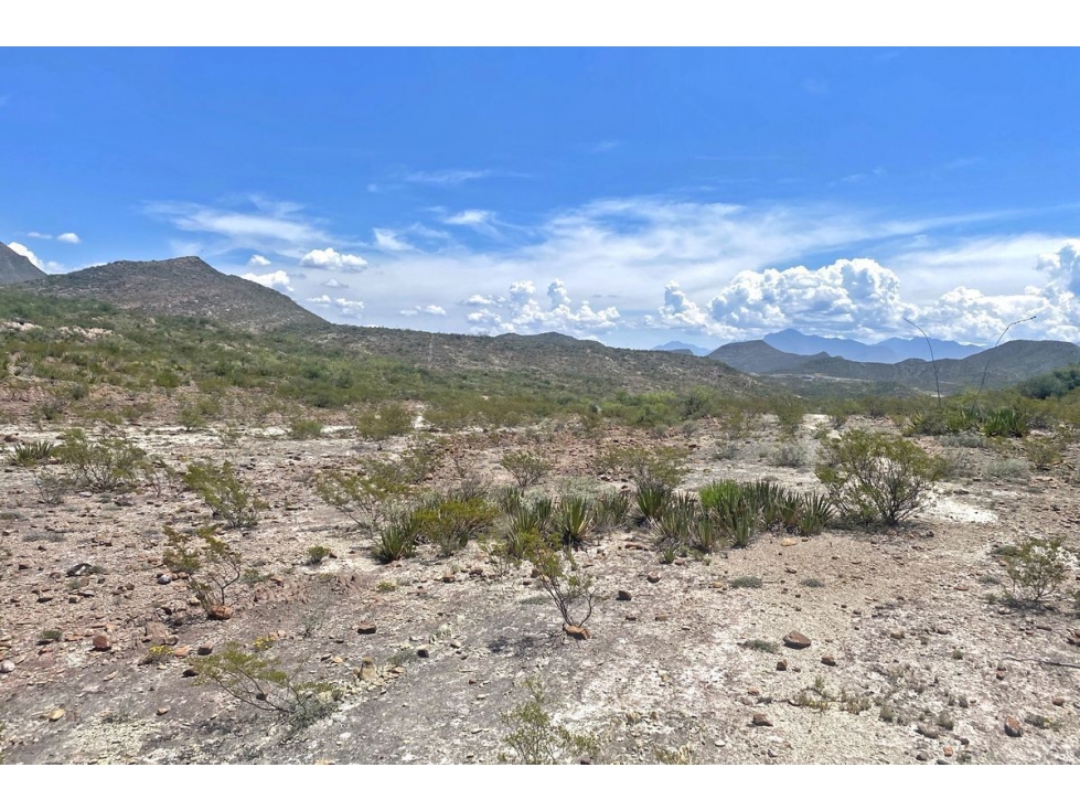 Oportunidad de Inversión: 64 Ha con Potencial de Desarrollo — foto 6