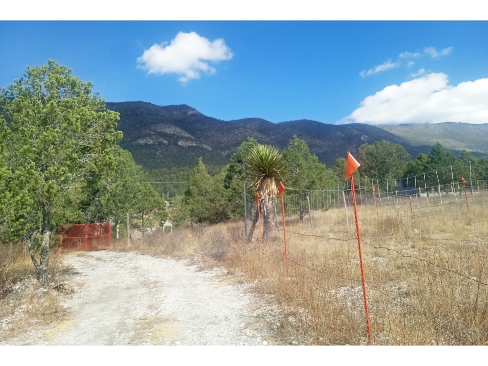 Terreno Campestre en VENTA en Ejido San Juanito RTV663162 — foto 6