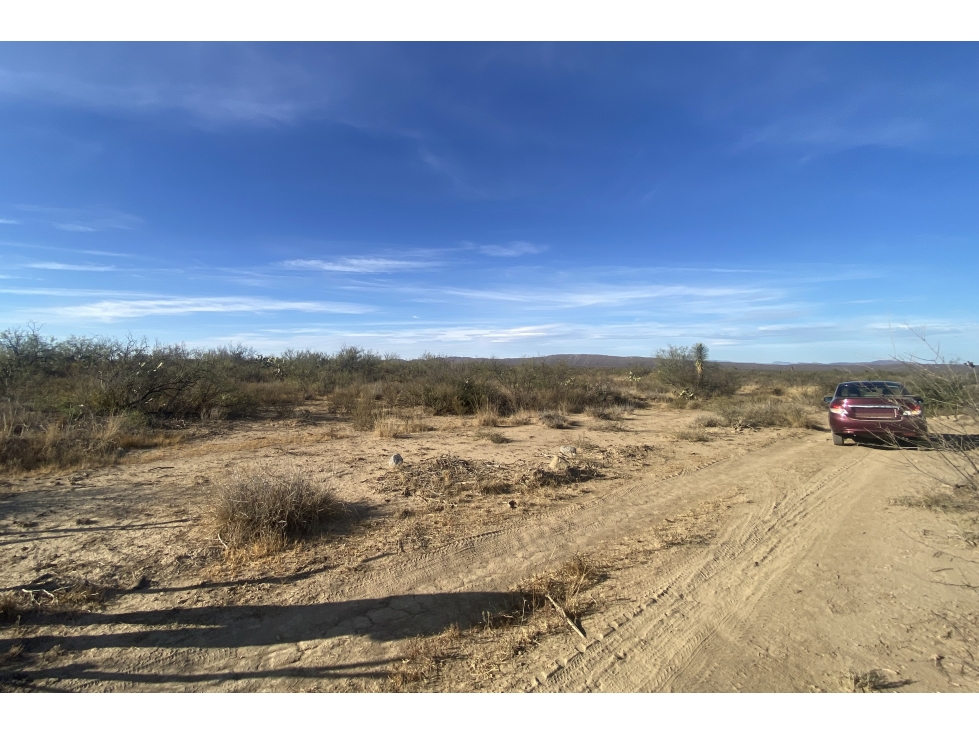 Terreno en VENTA en General Cepeda RTV666736 - 6