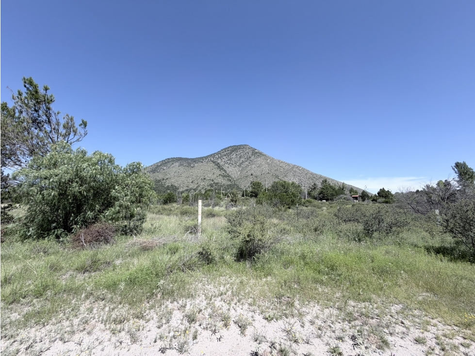 Terreno campestre en venta en Fracc. San Vicente (Los Chorros) — foto 6