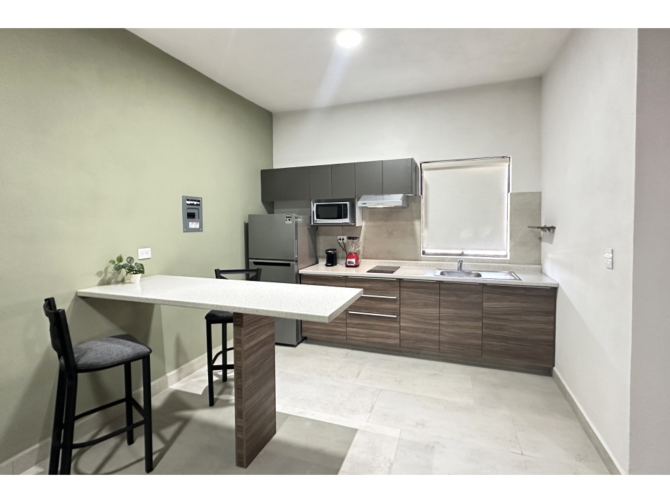 Loft nuevo en RENTA en Hacienda de Peña RDR602930 — foto 6
