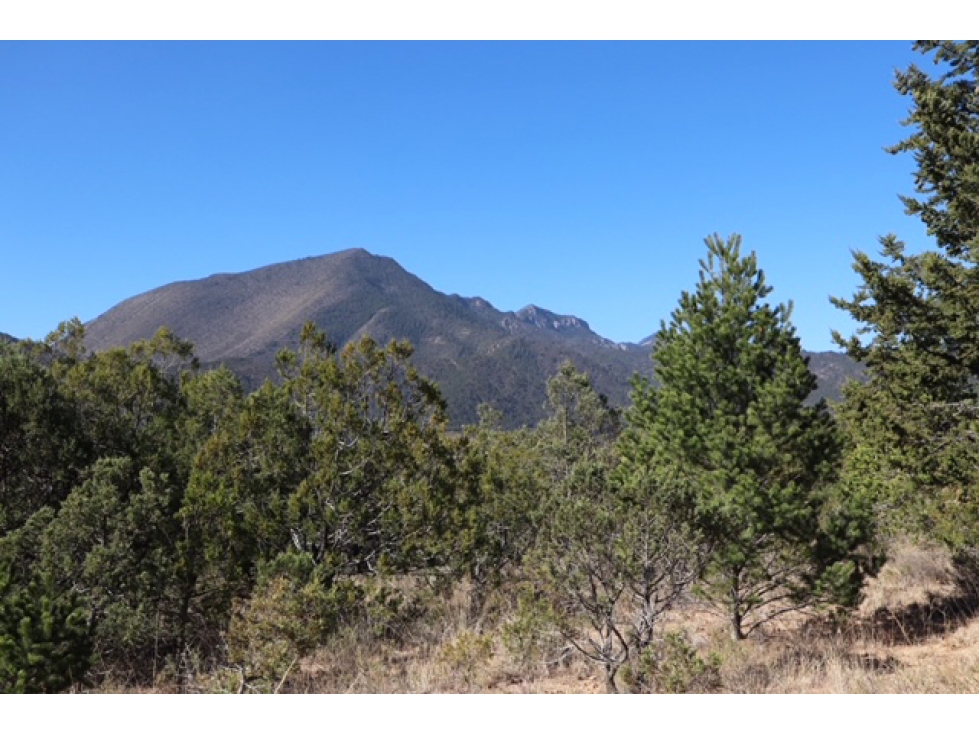 Terreno VENTA en Fracc. Cumbres del Tunal RTV607701 — foto 5