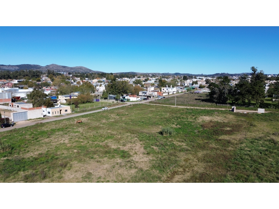 Lotes en venta en Tandil - Ideal primera vivienda con servicios — foto 6