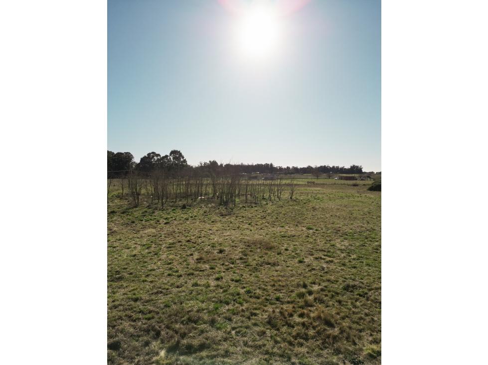 ULTIMO LOTE EN VENTA EN TANDIL- Zona de quintas. - 6