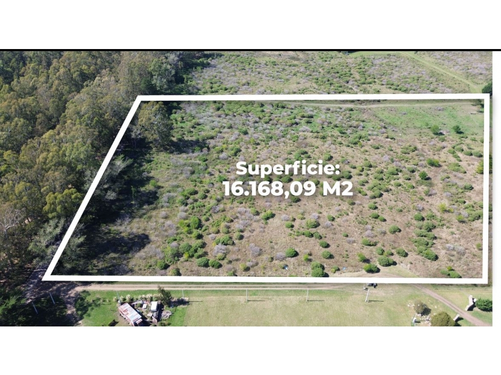 LOTE-MANZANA EN VENTA ZONA QUINTA BANCO PROVINCIA