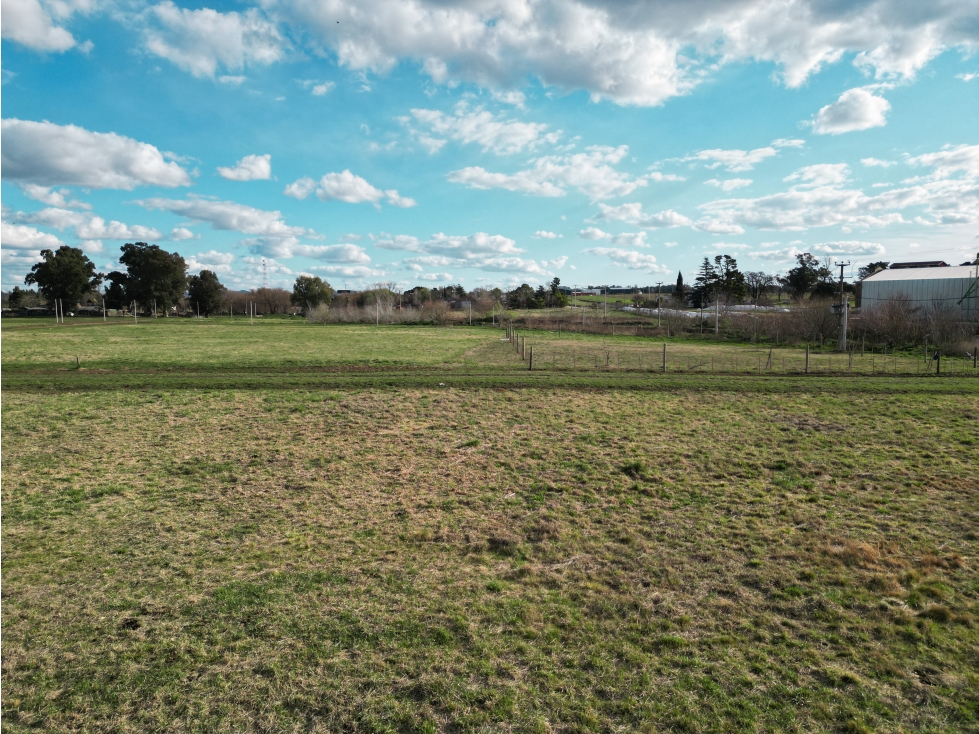 ULTIMO LOTE EN VENTA EN TANDIL- Zona de quintas. - 2