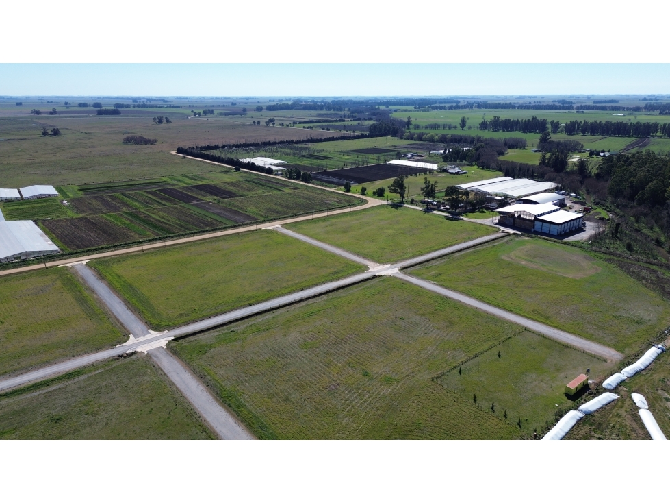 EN VENTA LOTES ZONA EL MOLINO- TANDIL — foto 4