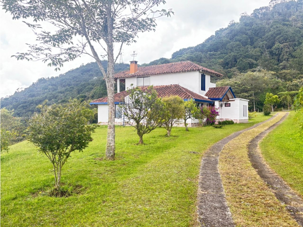 VENTA DE FINCA EN LA CEJA PARA HABITAR, DESARROLLAR O CULTIVAR — foto 4
