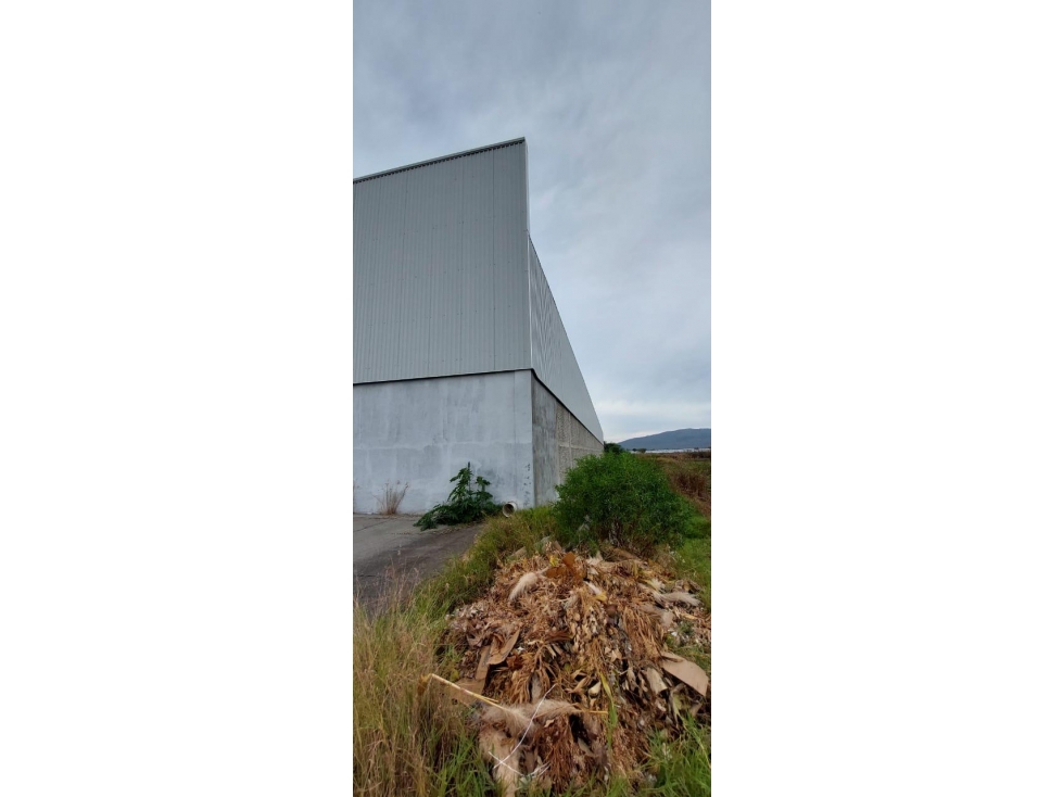 BODEGA EN RENTA 850 m2 Carretera Zamora- La Piedad - 4