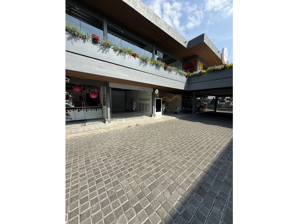 Local Comercial en Renta en Plaza Comercial Roma Zamora - 2