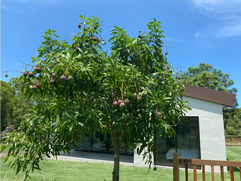 Casa Terra Viva Coronado - Tu hogar dentro la naturaleza