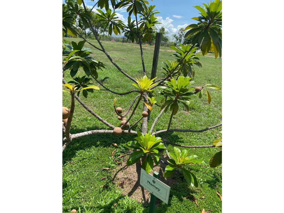 Casa Terra Viva Coronado - Tu hogar dentro la naturaleza — foto 6