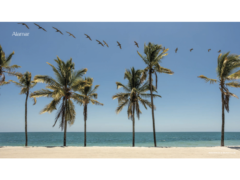 ALAMAR, Buenaventura - New beachfront project - 3