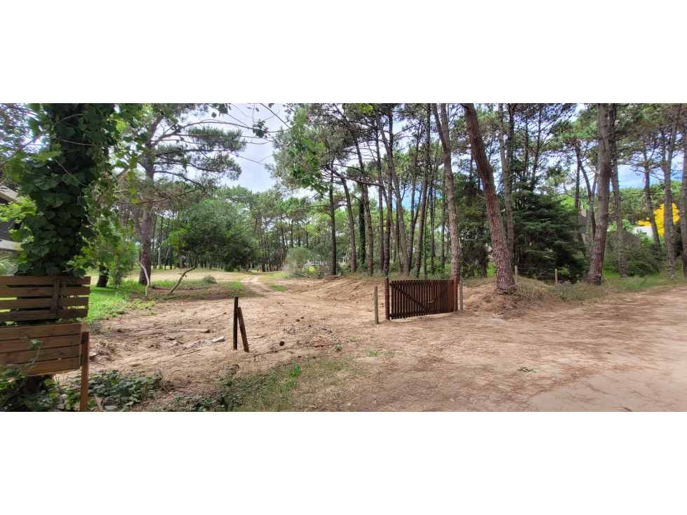 Lote a la venta en isla del golf Carilo vista plena - 5