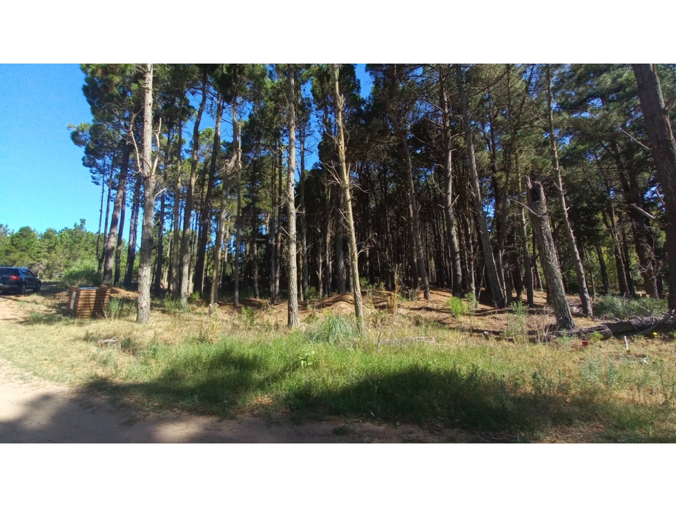 Lote en Villa Robles - 3