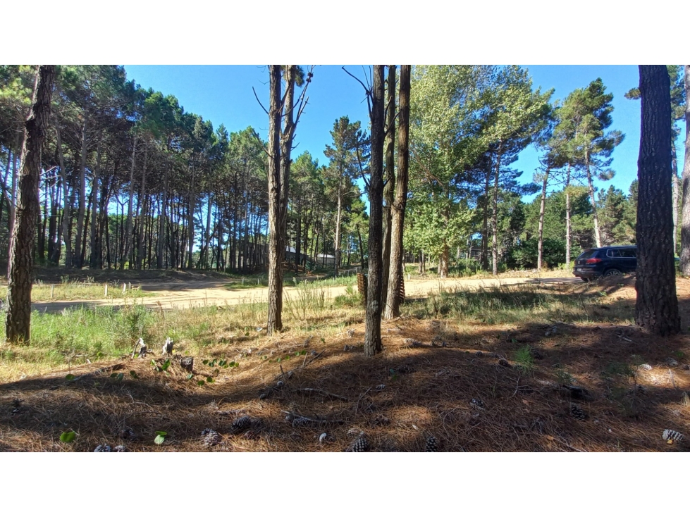 Lote en Villa Robles - 4