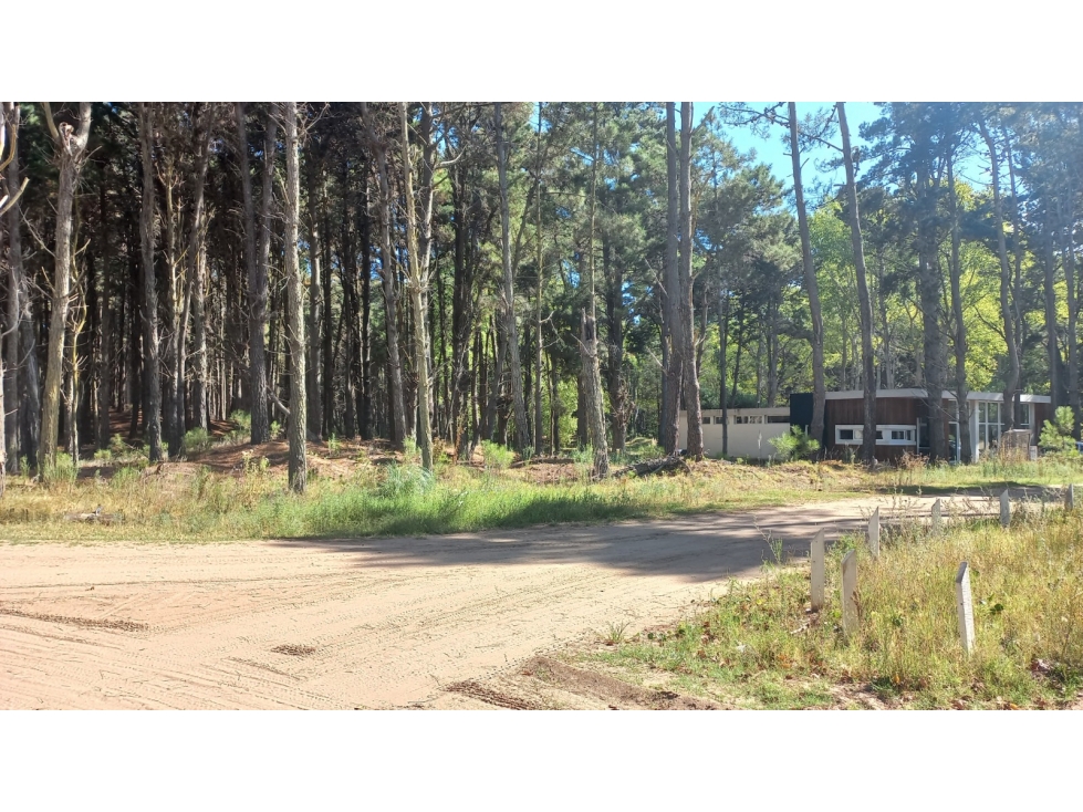 Lote en Villa Robles - 1