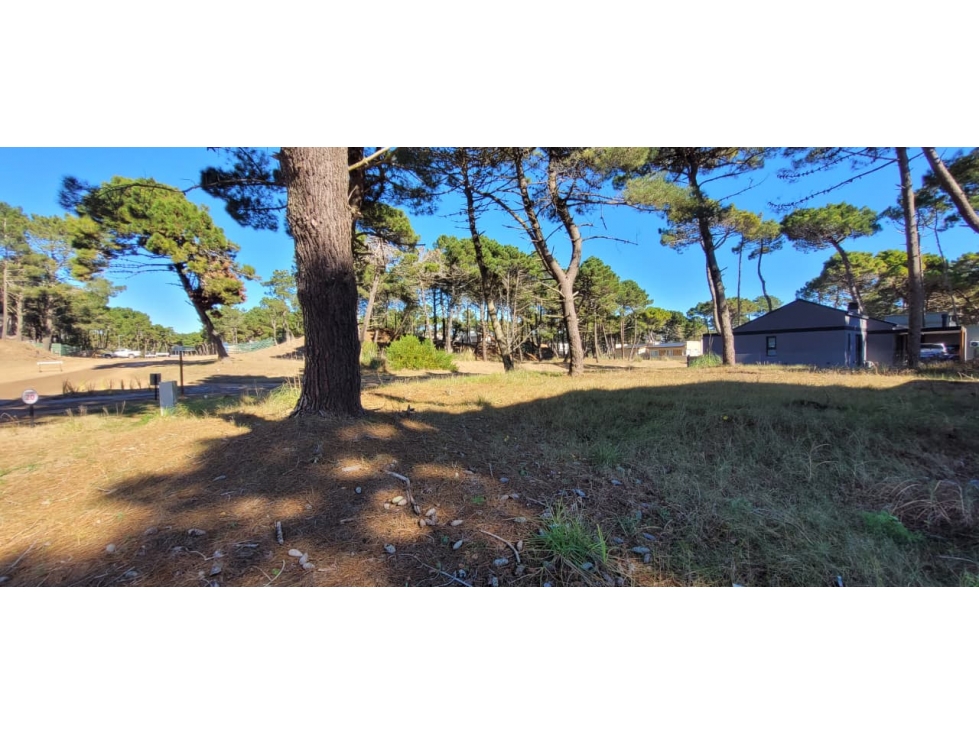 Lote en Barrio Cerrado Pioneros- Pinamar / Consulte Financiación — foto 3