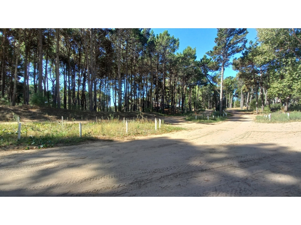 Lote en Villa Robles - 2