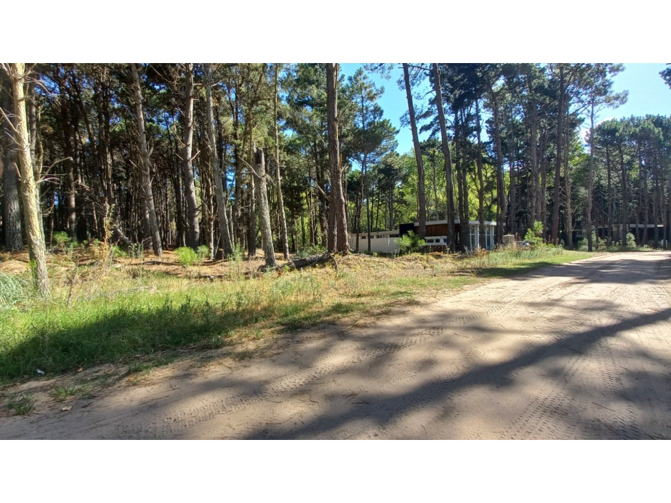 Lote en Villa Robles - 6