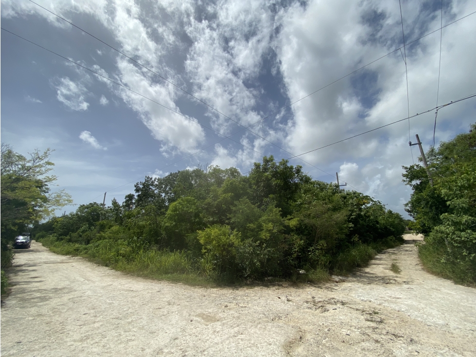 Venta de Terreno Escriturado en esquina en Zona Doctores - 2