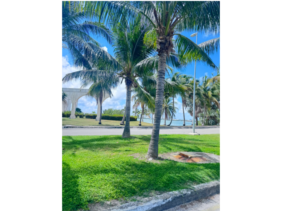 Pok ta Pok Departamento en venta SS NC — foto 3
