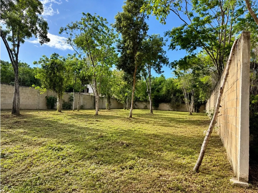 HUAYACÁN TERRENO EN VENTA