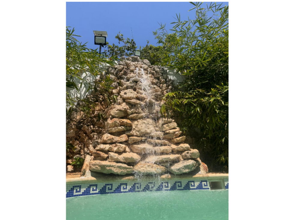 Jardin de Fiesta en Venta o Renta — foto 4