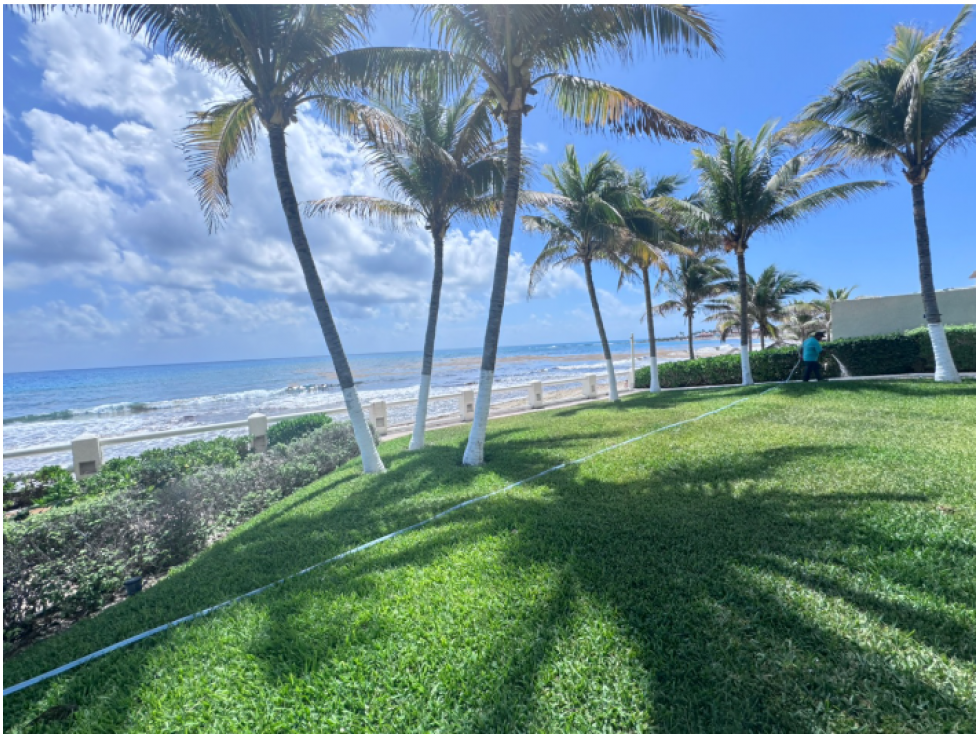 Zona Hotelera Frente al mar Caribe, Residencia en renta SS NC — foto 6