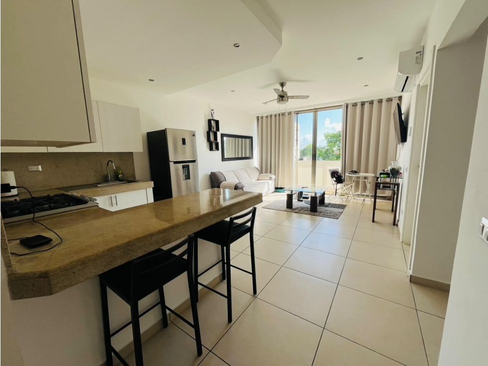 5TA AVENIDA PLAYA DEL CARMEN DEPARTAMENTO EN RENTA — foto 5