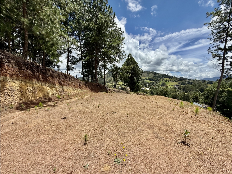 LOTE RODEADO VERDE CON VISTA ESPECTACULAR!