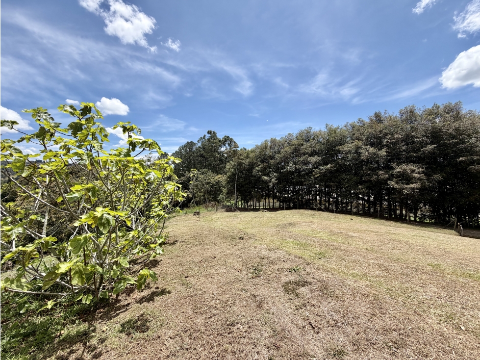 HERMOSO LOTE EN ZONA DE ALTA VALORIZACION. — foto 2