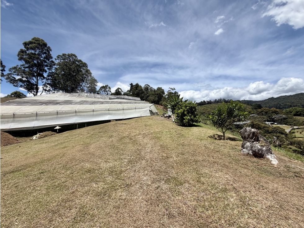 HERMOSO LOTE EN ZONA DE ALTA VALORIZACION. — foto 4