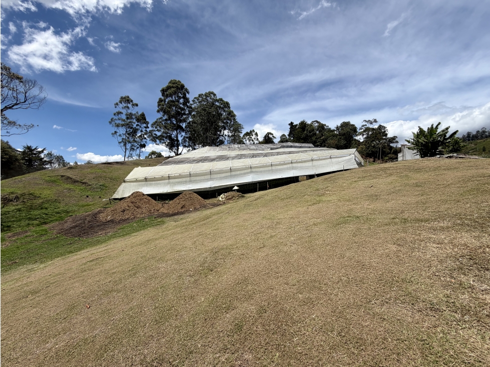 HERMOSO LOTE EN ZONA DE ALTA VALORIZACION. — foto 5