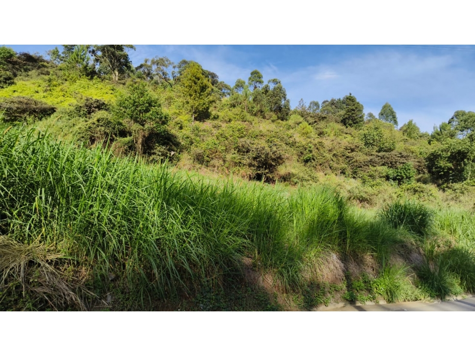 SE VENDE LOTE INDUSTRIAL, AUTOPISTA MED-BOG ANTES DEL PEAJE